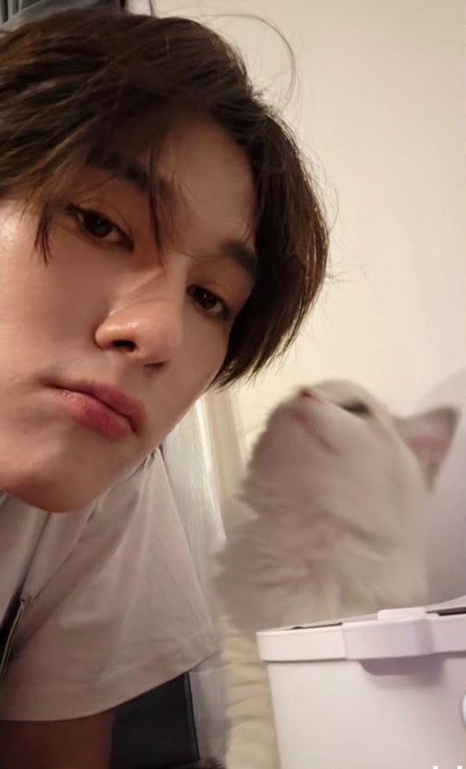 tsunami ft. wu ꔛ📿✨ tweet media