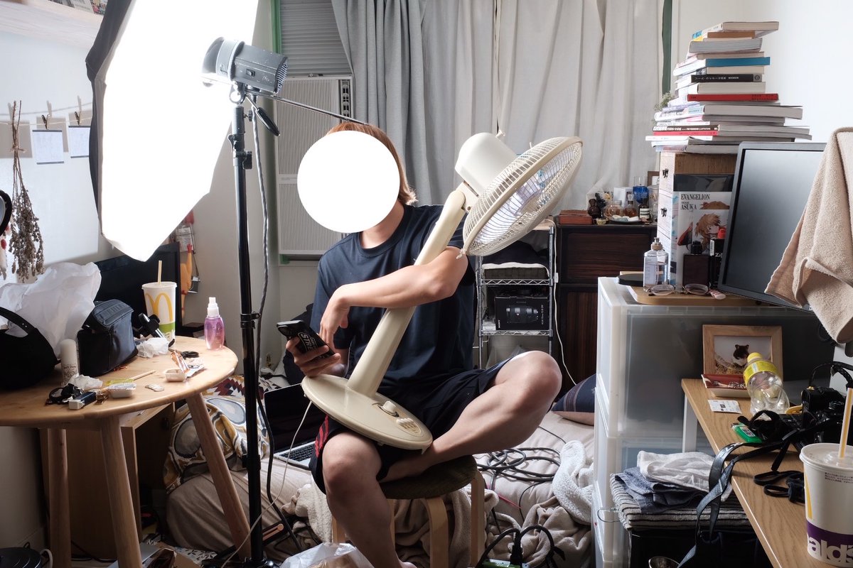 セメントの犬 tweet media