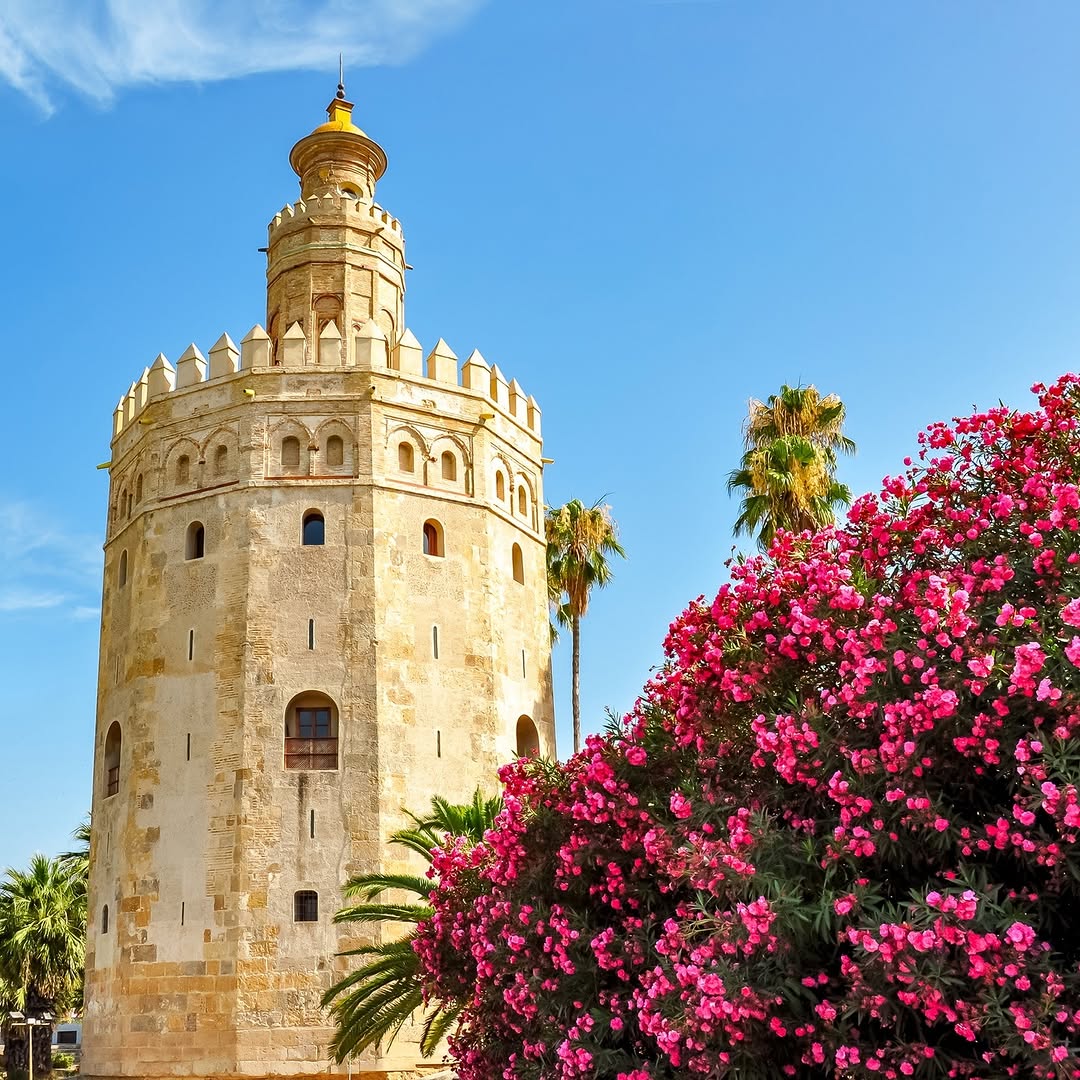 Amazing Eyes tweet media