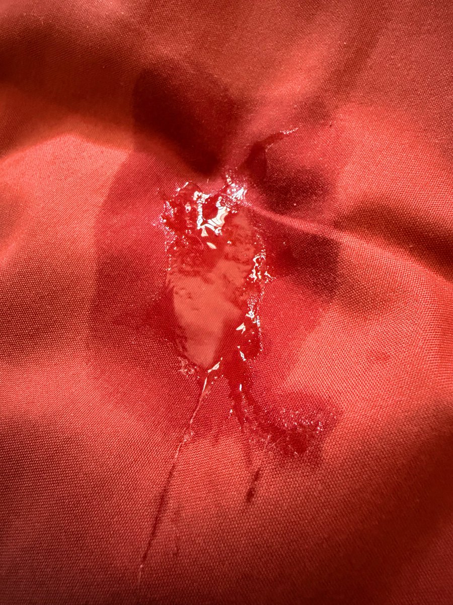 🩷Slut Pup🩷 @ FC💦 tweet media