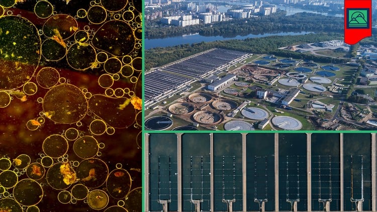 comidoc's tweet image. Introduction to Wastewater Management &amp;amp; Treatment

⏱️ 1.0 hours
⭐ 4.31
👥 18,748
🔄 Jan 2026
💰 $17.99 → 100% OFF

comidoc.com/udemy/wastewat…

#Wastewater #Engineering #Sanitation #udemy