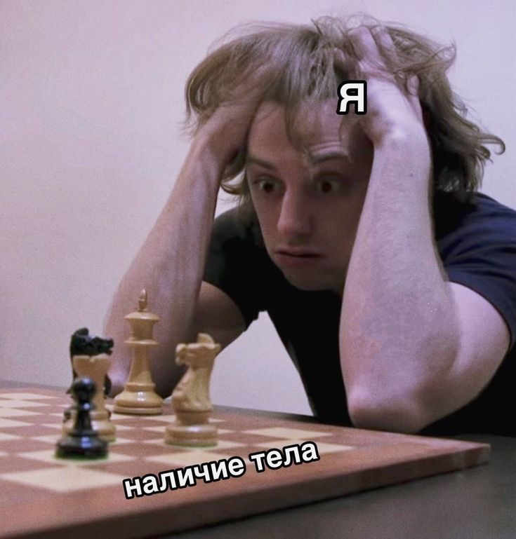 амбассадор недосыпа || рест (@chahuahuii) on Twitter photo 