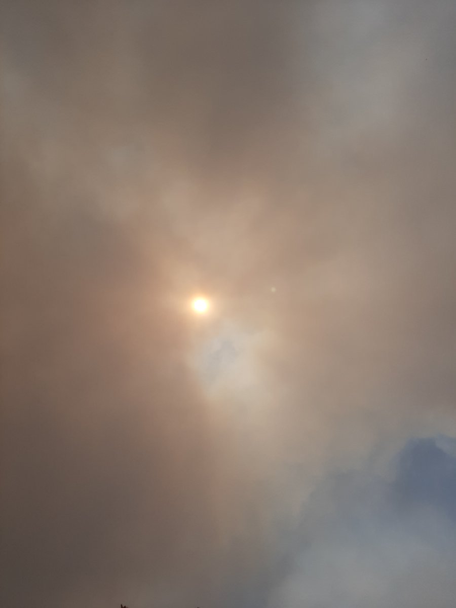 tsjilper's tweet photo. Vandaag in de ban van #Bosbrand Oldebroek. Verminderd zonlicht soms tot schemerig niveau, lagere temperatuur,  reukoverlast, mistige staten. Het was angstaanjagend. https://t.co/RZJNaCCHtY
