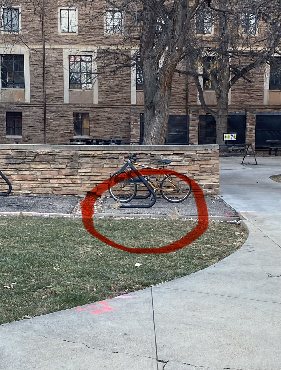 Ebru Erdini tweet media