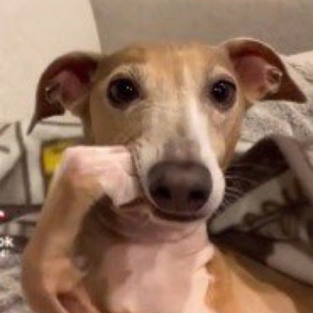 ͏ ͏ ͏ ͏ ͏͏ㅊ sy ♱ tweet media