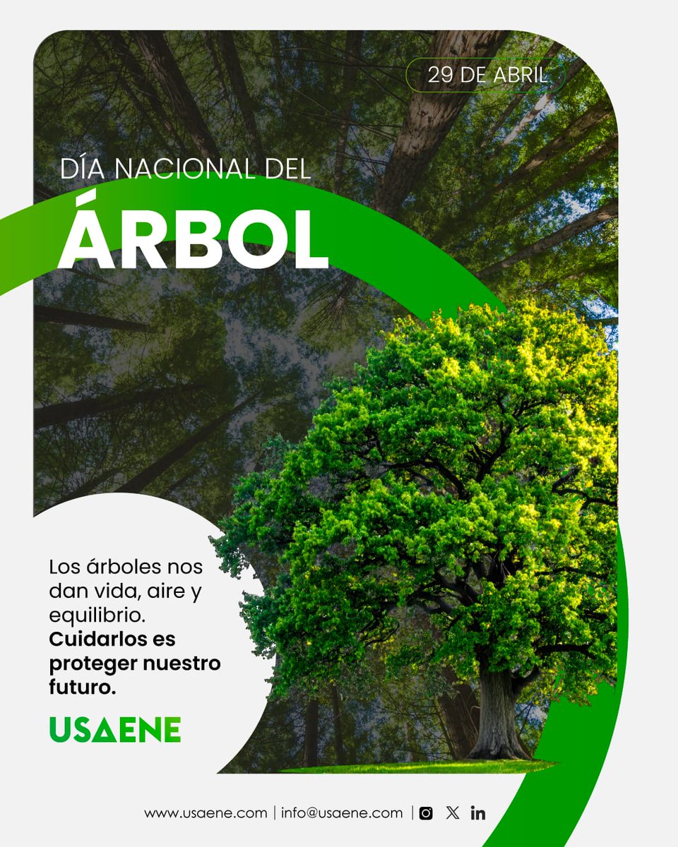 USAENE's tweet photo. En el Día del Árbol, recordamos que protegerlos es proteger la vida 🌳💚

Los árboles son esenciales para nuestro planeta: producen oxígeno, capturan CO₂, protegen el agua y sostienen la biodiversidad. Sin ellos, no hay futuro sostenible.

Hoy es una invitación a reflexionar sobre su importancia y a comprometernos con su cuidado, conservación y restauración.
Porque cada árbol cuenta. 🌱

#DíaDelÁrbol #CuidadoDelPlaneta #MedioAmbiente