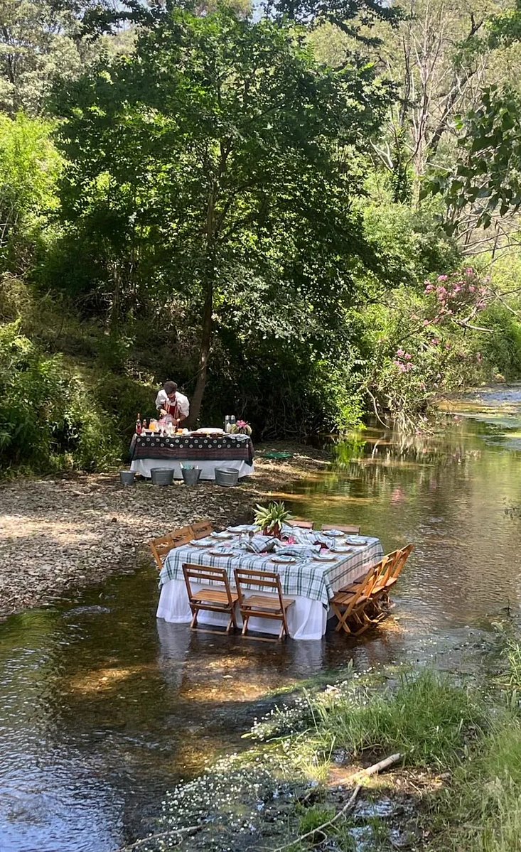 archivebycosmos's tweet photo. Dining in nature. https://t.co/E7E16cV8Qi