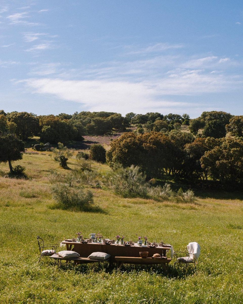 archivebycosmos's tweet photo. Dining in nature. https://t.co/E7E16cV8Qi