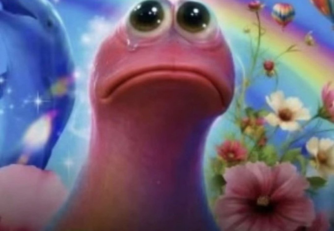 tuniss 🎗| ENHYPEN IS SEVEN tweet media