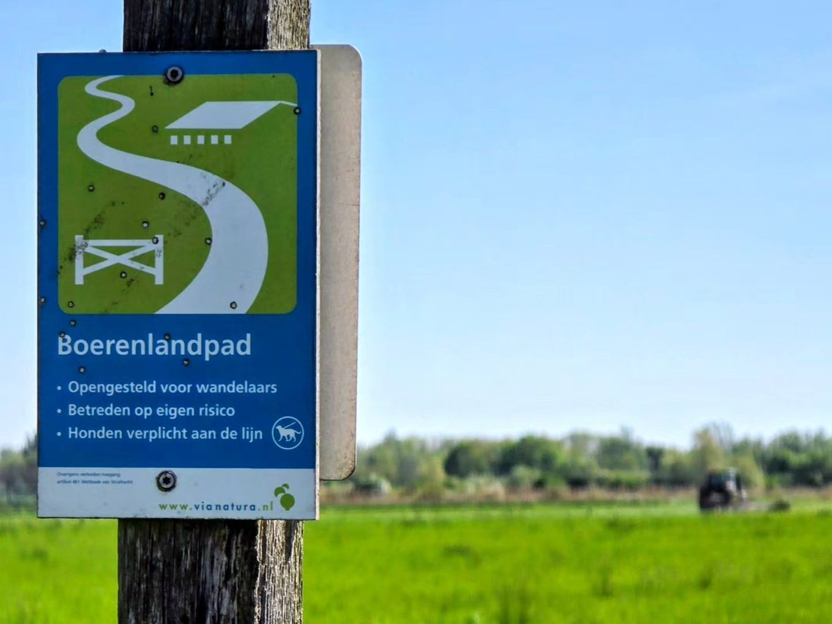 davevanbrenk's tweet image. Wandelrondje door de polder #Ooij #Nijmegen #aandewandel #ErOpUit