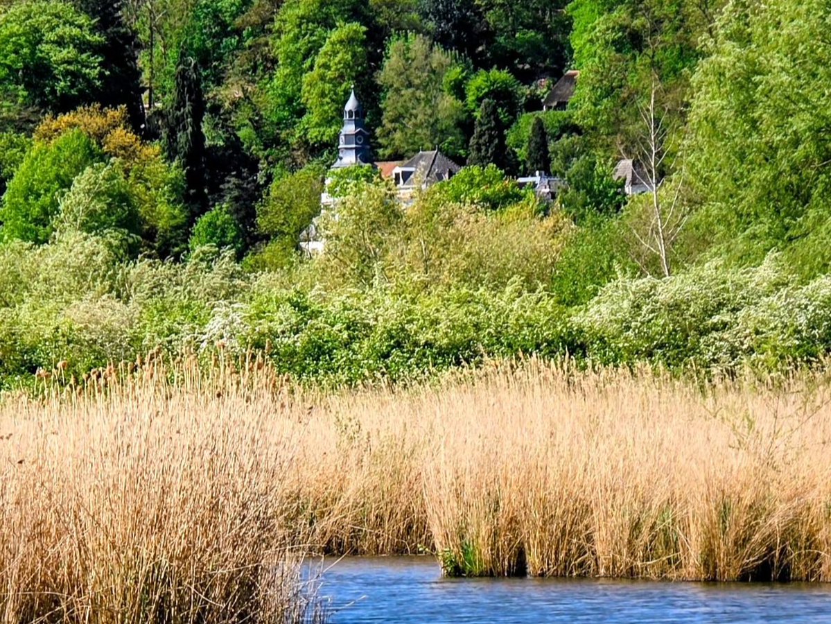 davevanbrenk's tweet image. Wandelrondje door de polder #Ooij #Nijmegen #aandewandel #ErOpUit