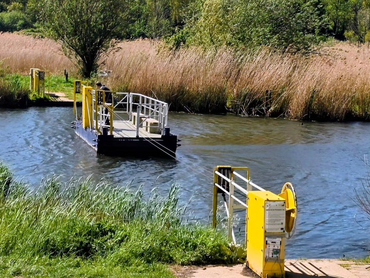 davevanbrenk's tweet image. Wandelrondje door de polder #Ooij #Nijmegen #aandewandel #ErOpUit