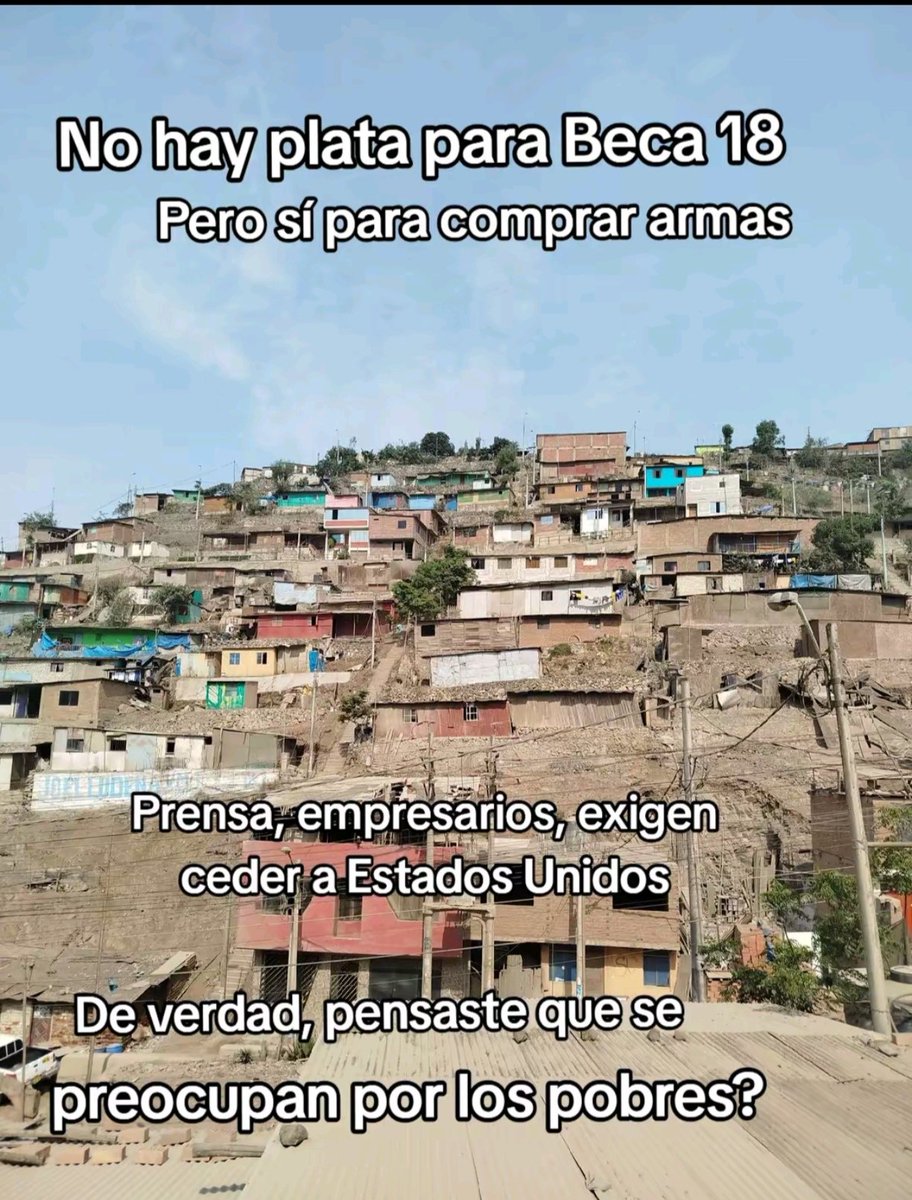 Liliana LQT tweet media