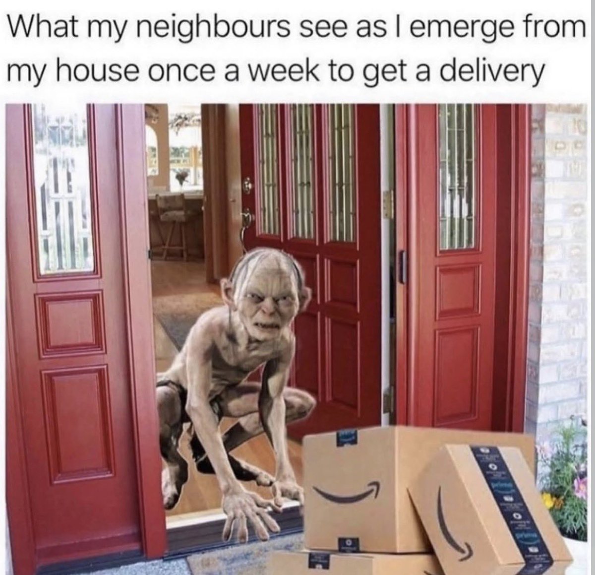 TheLizVariant tweet media