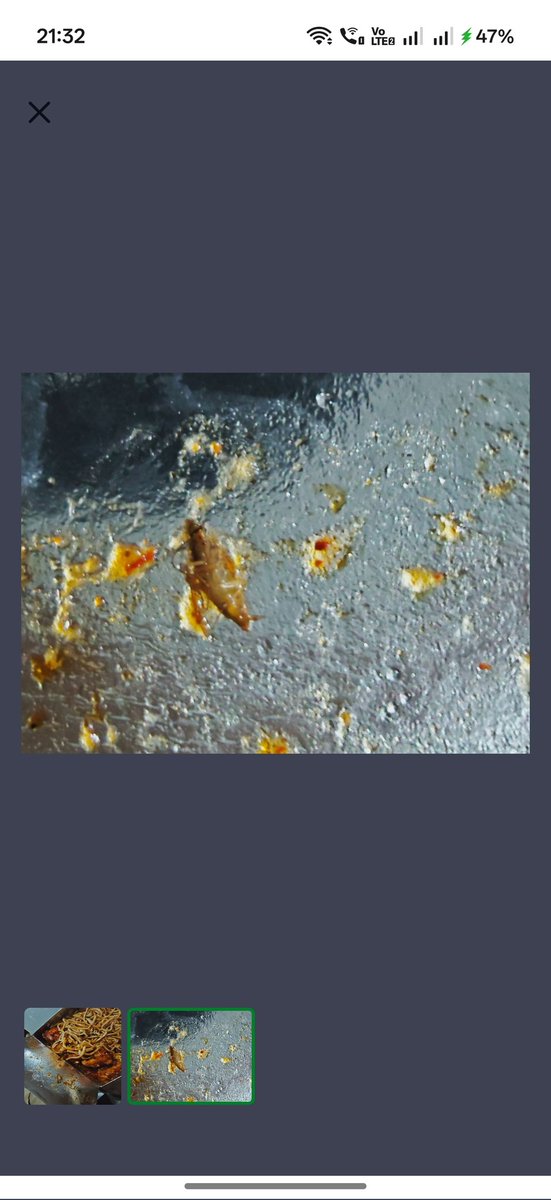 venin28's tweet image. Beware of toing food  app from @SwiggyCares @Swiggy

You need to wait 20 to 40 minutes If you have any issues with your food order. I regret my first order.  Last night I ordered some noodles but as a bonus I got some bugs in food. But can't connect with support #toing #swiggy