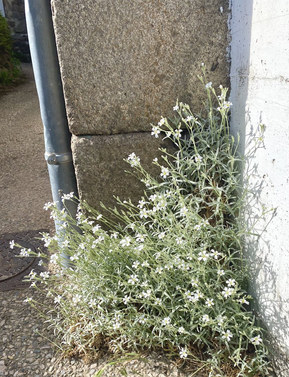 Olivier Clamaron tweet media