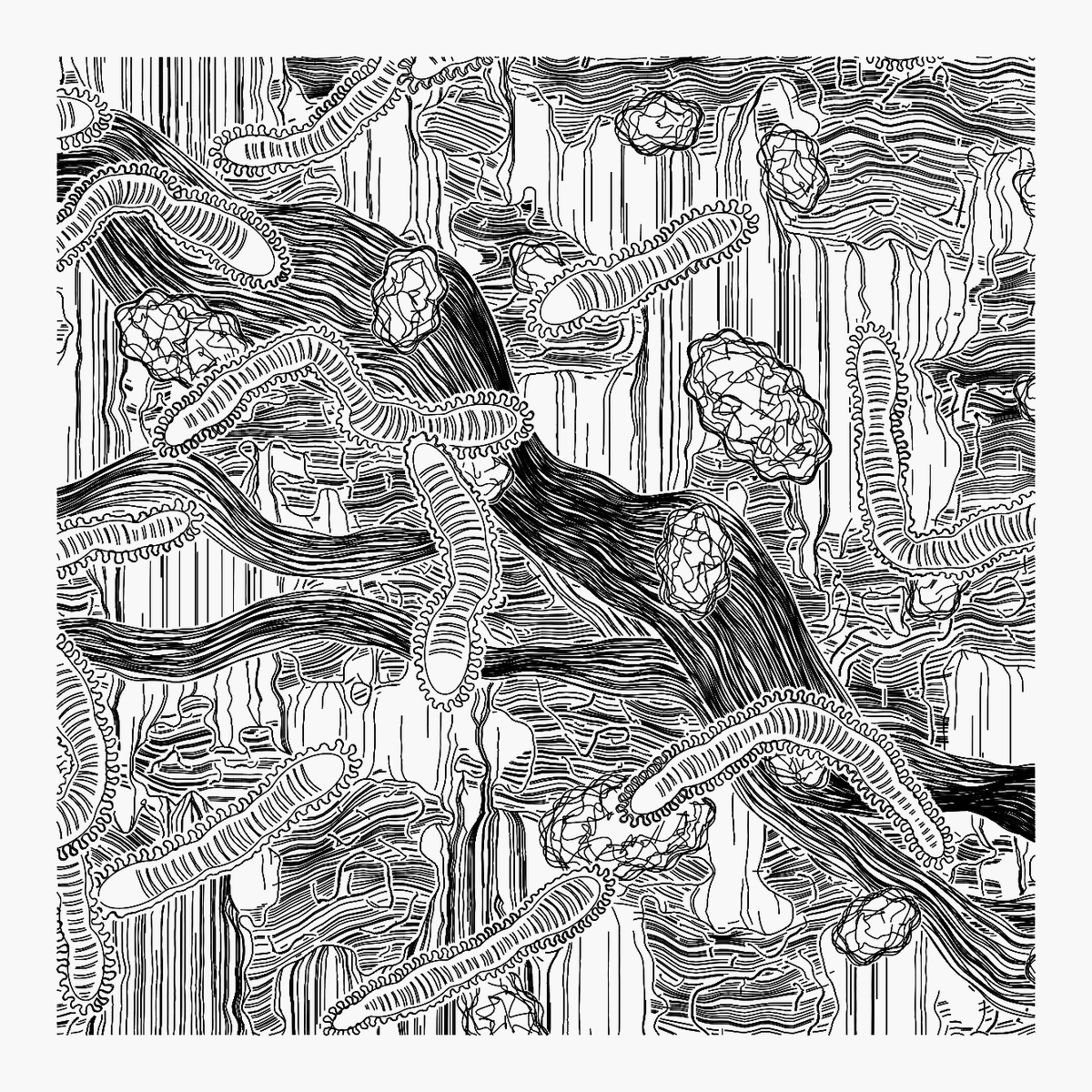 CCDDBB's tweet image. W.I.P. Metastasi #8

#javascript #plotterart #plottertwitter #generativeart #genart #digitalart #abstractart #graphicart