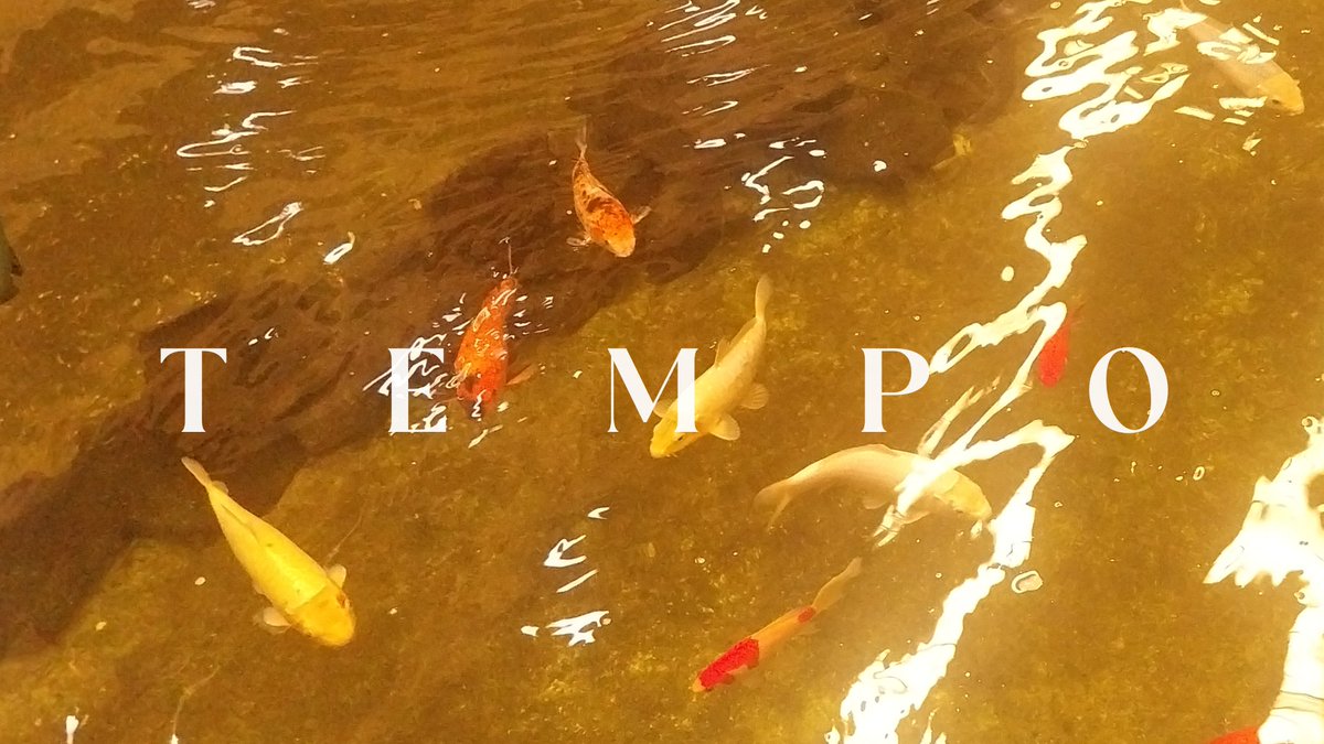 big_groupofc's tweet photo. O que vocês esperam da música "TEMPO"? https://t.co/GUTyYtDPb9