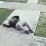 🔼🔼🍌🍌 tweet media