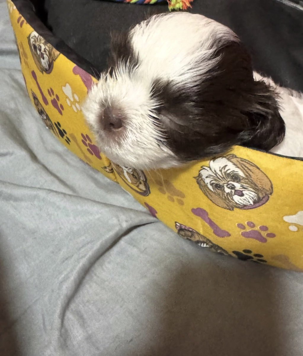 Central Abusadas 🚪 tweet media