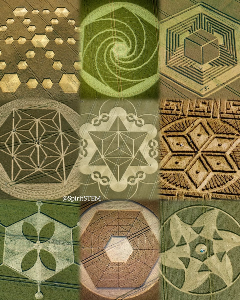 SpiritSTEM tweet media
