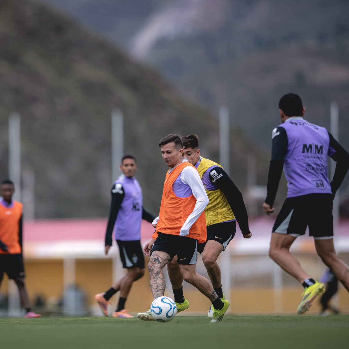 FALA, MASSA! 🐔 | Wander Lourenco tweet media