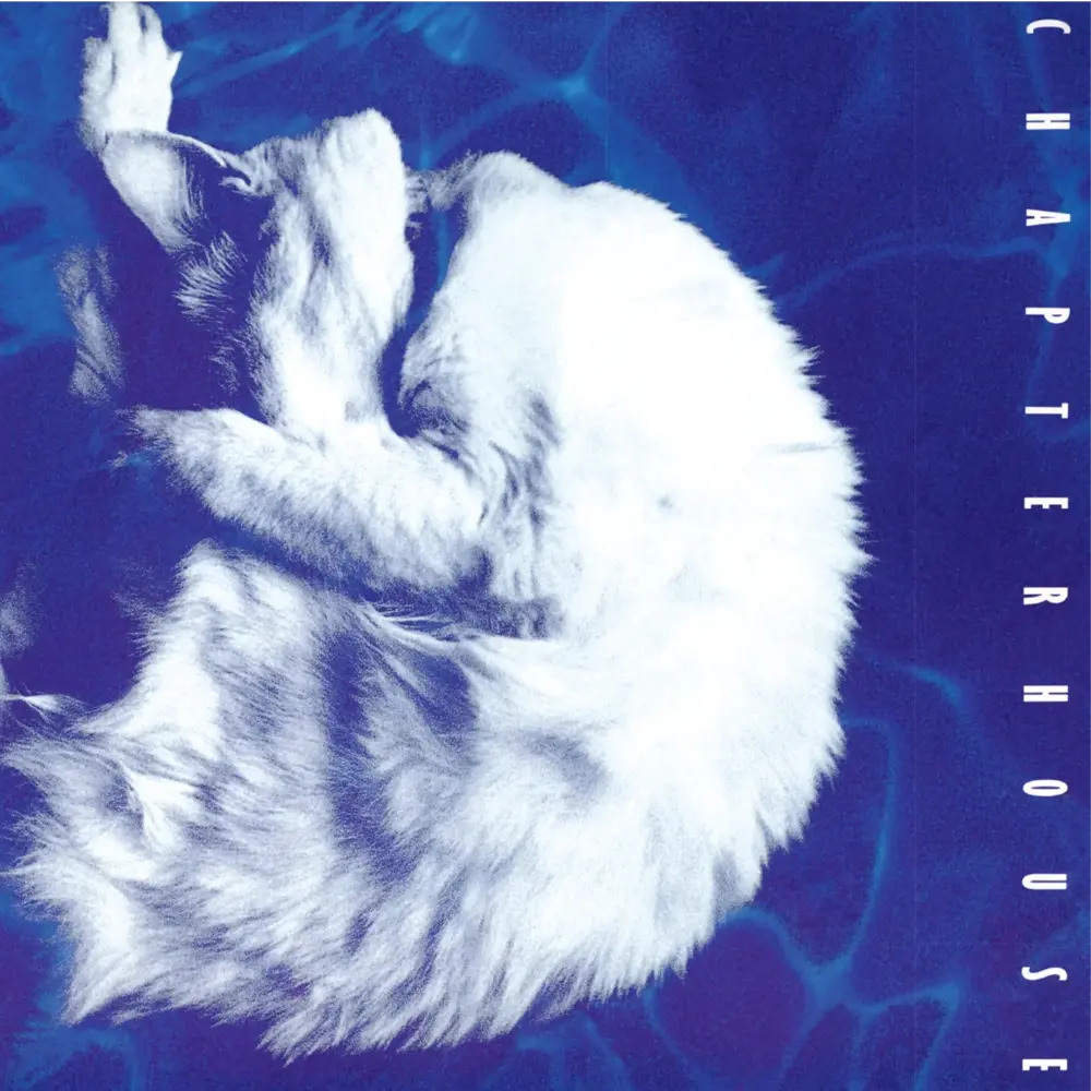Londonero's tweet image. Rocktrospectiva: On this date 35 years ago, Chapterhouse released their debut studio album "Whirlpool" featuring the single "Pearl." #1990s #chapterhouse #rocktrospectiva