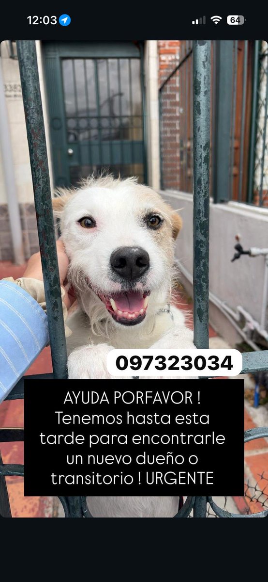 Atenti!! Se agradece difundir
