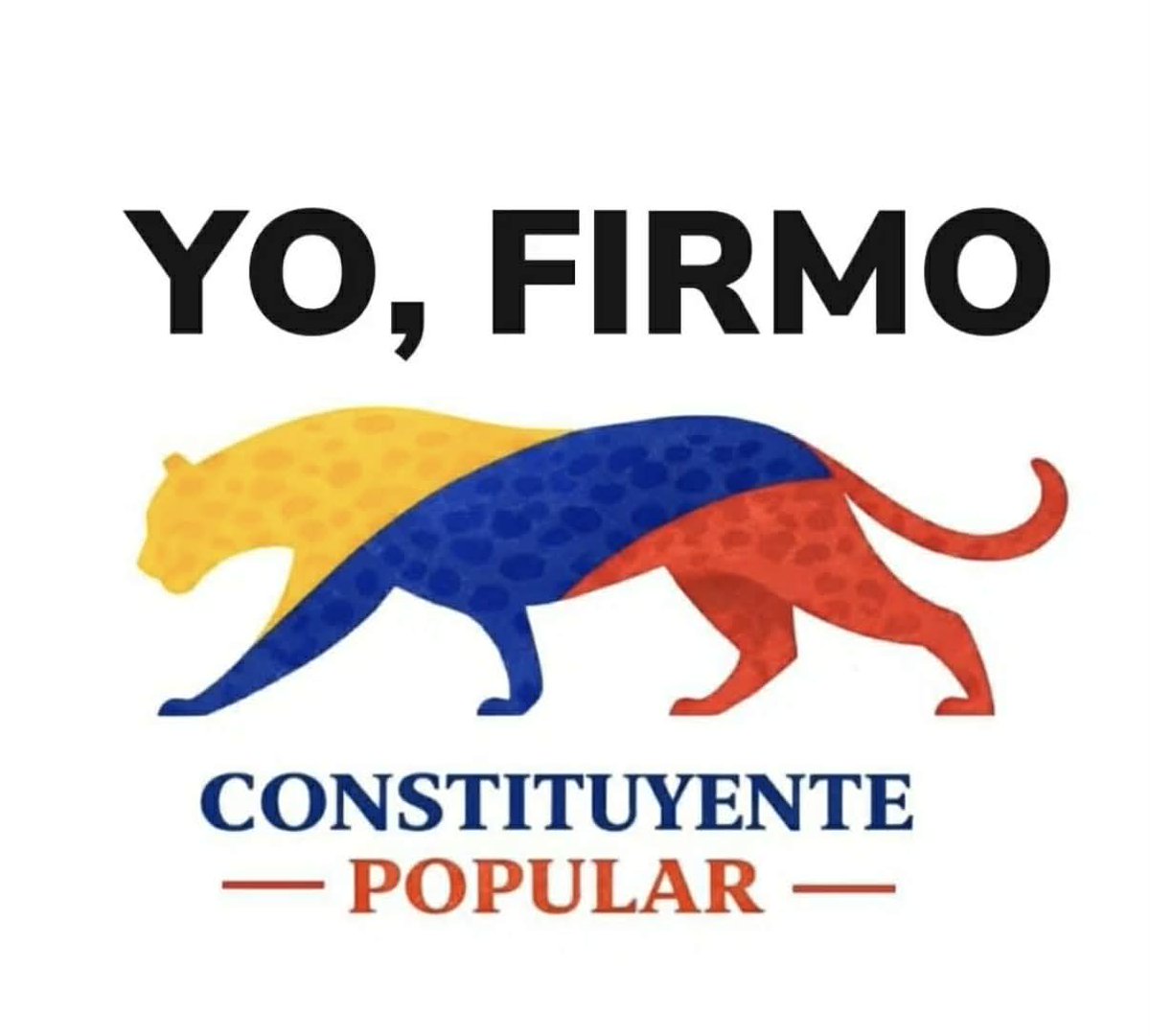 Emiliosky tweet media