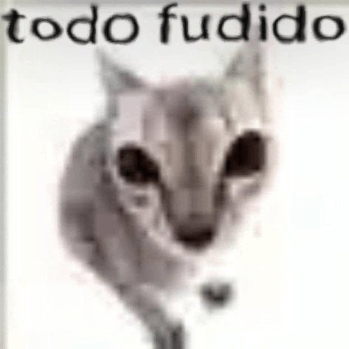 ram0naslv's tweet photo. @senshi_real pq vc faz isso? https://t.co/SckTUjqjWZ