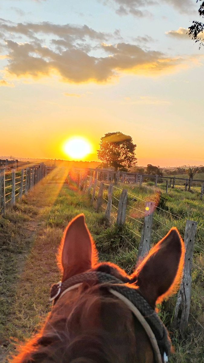 𝐄𝐥𝐥𝐢 tweet media