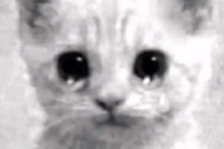 igna⁷ 🇨🇱 tweet media