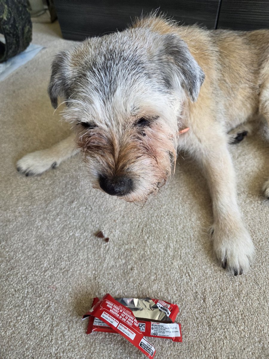 Mam 2 Lord Oscar Blue🌈 & Lady Ruby Red🌈,BT Squad tweet media