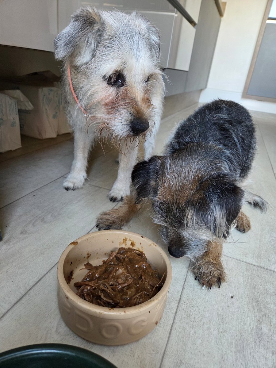 Mam 2 Lord Oscar Blue🌈 & Lady Ruby Red🌈,BT Squad tweet media