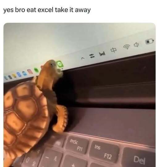 Daily Memes tweet media