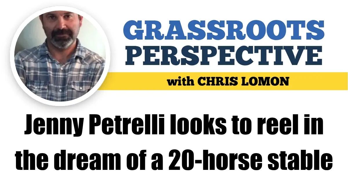 Harness Racing Update tweet media