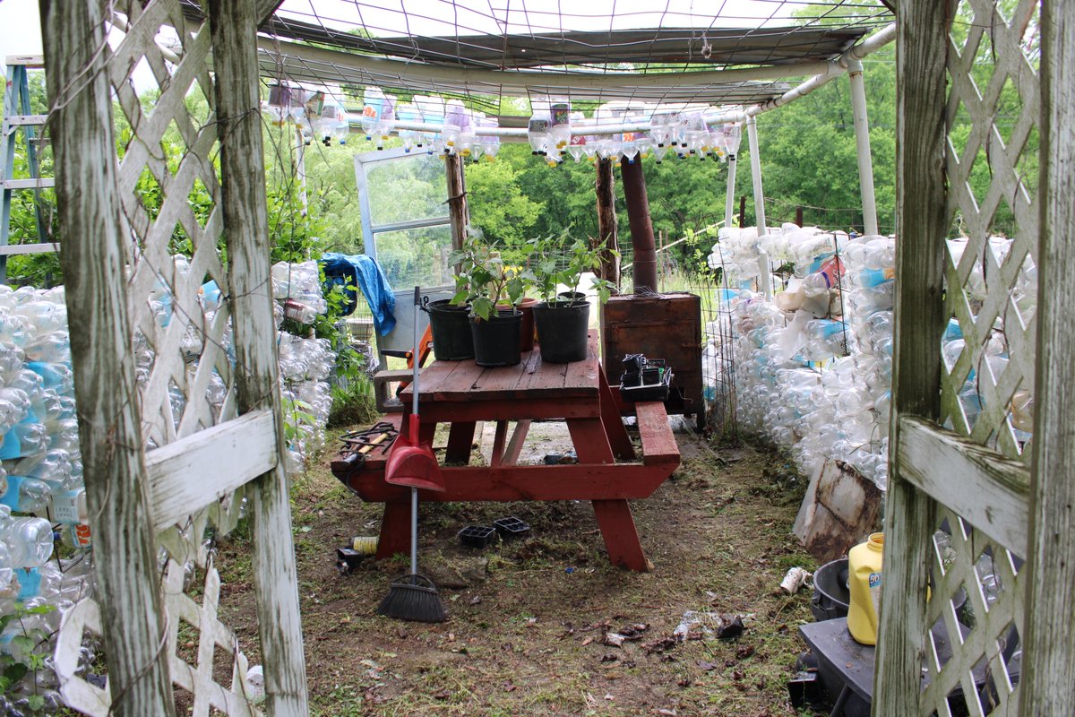 docsanderson's tweet image. #Scientists #Carpenter #RestorationProject #Wolves #Mates @NatGeo @danpeckwx @HeartsofHeroes_
@Nature G Mags Lizzie repairs i made to the big #GreenHouse held through storm decided to clean it &amp;amp; put it back into service. moved #Eggplant in. #tomatoes Blooming Lunchtime Mwah Lee