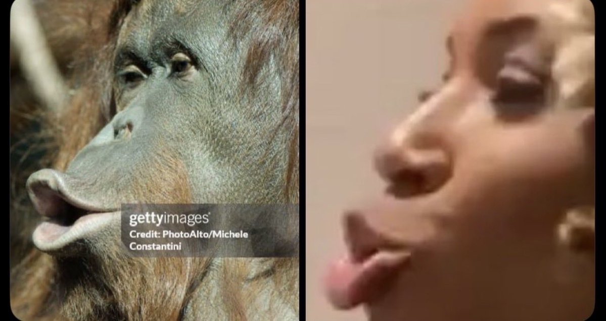 AlexAustin tweet media