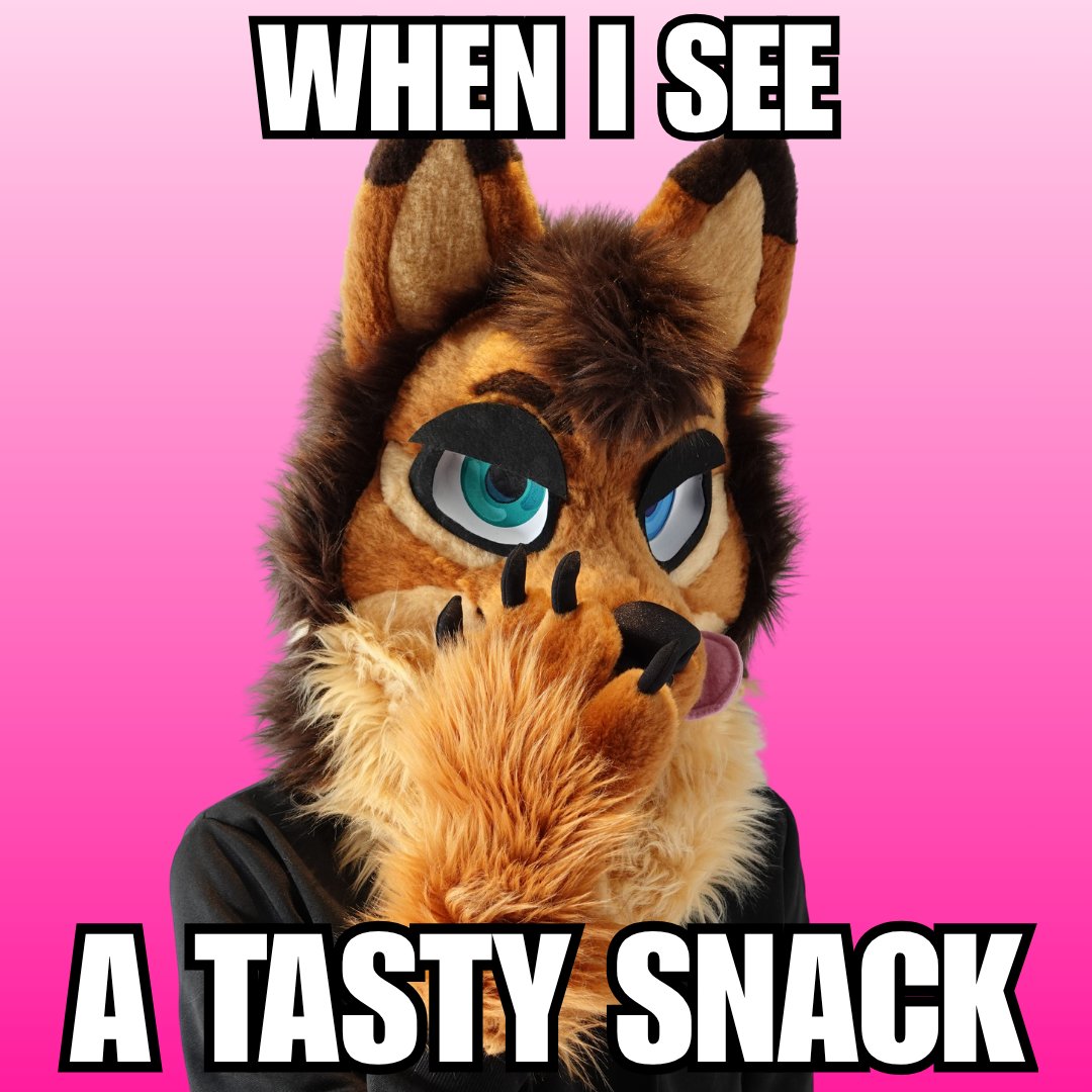 KodaWolf_IRL tweet media