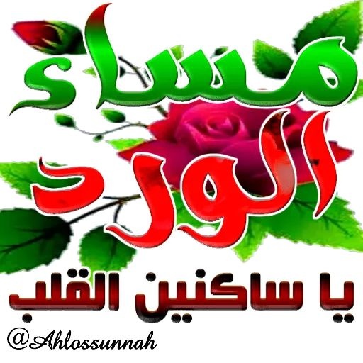 عبير الزهور tweet media