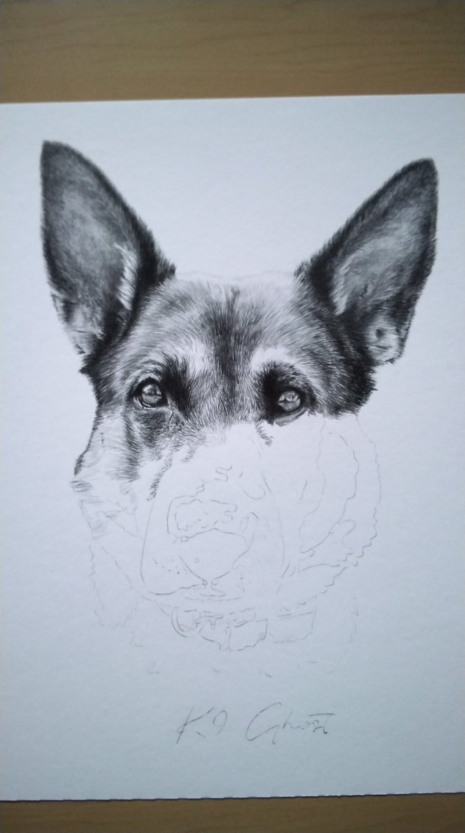 Raine_draws's tweet image. #wip coming along nicely. 
💕🐶🐾🌈