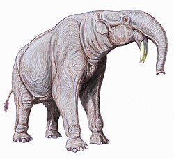 Cuphead_Rick's tweet photo. Deinotherium: genere di mammiferi erbivori vissuti tra i 15-1 mln di anni fa in Europa, Africa e Asia. Imparentati con gli elefanti ma con evidenti differenze tra cui le zanne rivolte verso il basso, il collo e un cranio differenti e dimensione ridotta orecchie.
#ExtinctAnimals https://t.co/96dtcKbeNf