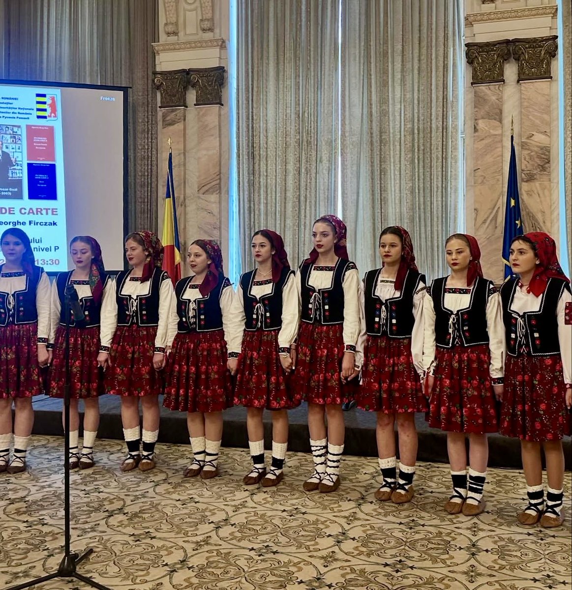 karpatorusinska's tweet photo. 🇪🇺🇷🇴 Румынія, Бухарест: у парламенті была представлена нова книжка — роман «Apocalipsa rusină» (том I і II) автора Оскара Франціска Ґаала
#carpathorusyn #hutsuls #rutenilor #rusnaks https://t.co/8cpYker4eI