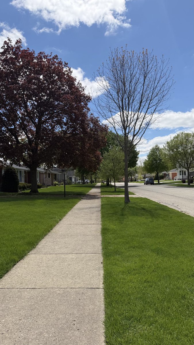 mediagurlruns's tweet image. Tuesday’s sunny blue sky runch, but I do love turkey sandwiches! 🙏🏼🏃🏻‍♀️🥪 #runch #run #lunch #runner #6miler