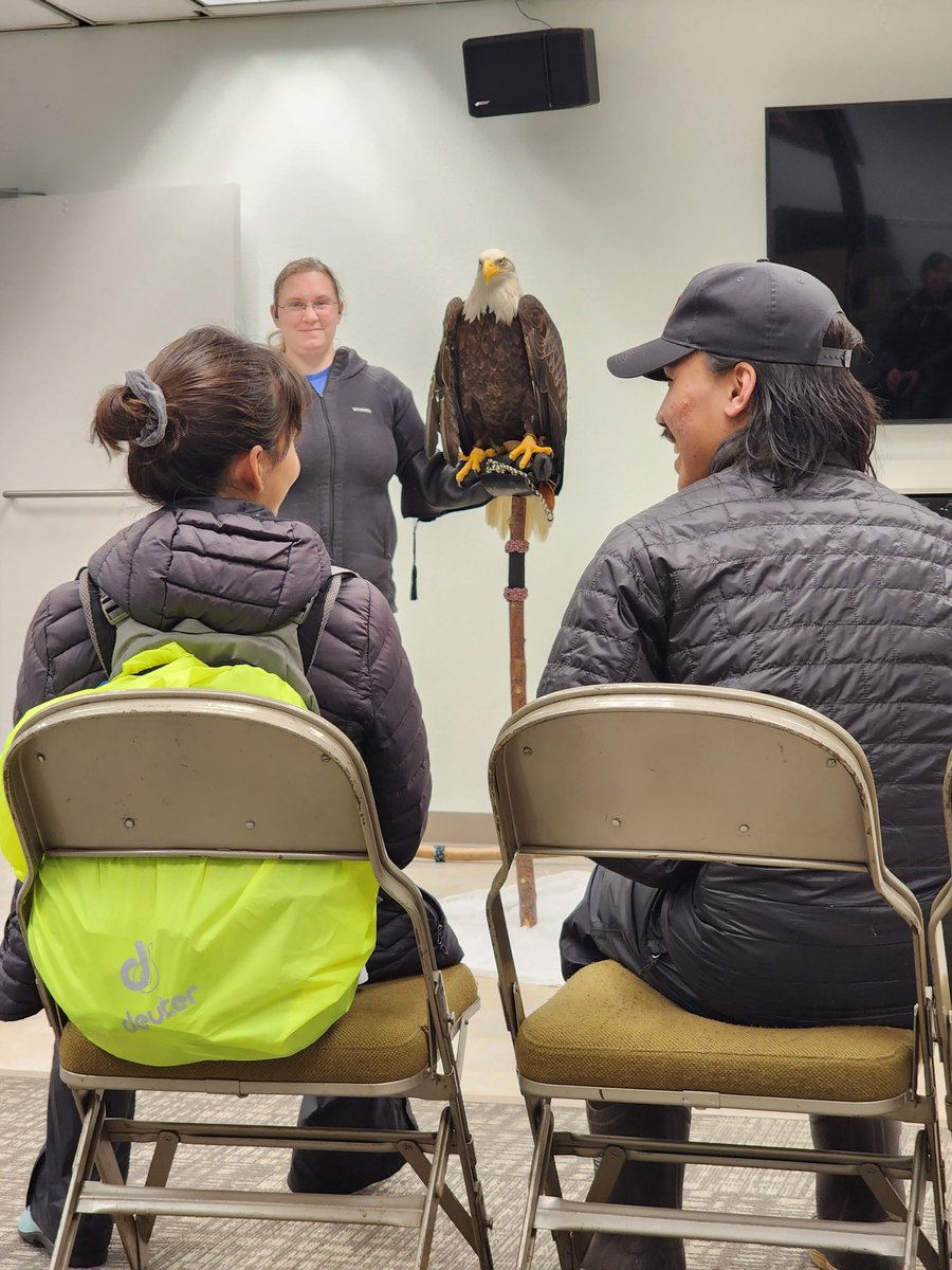 Alaska Raptor Center tweet media