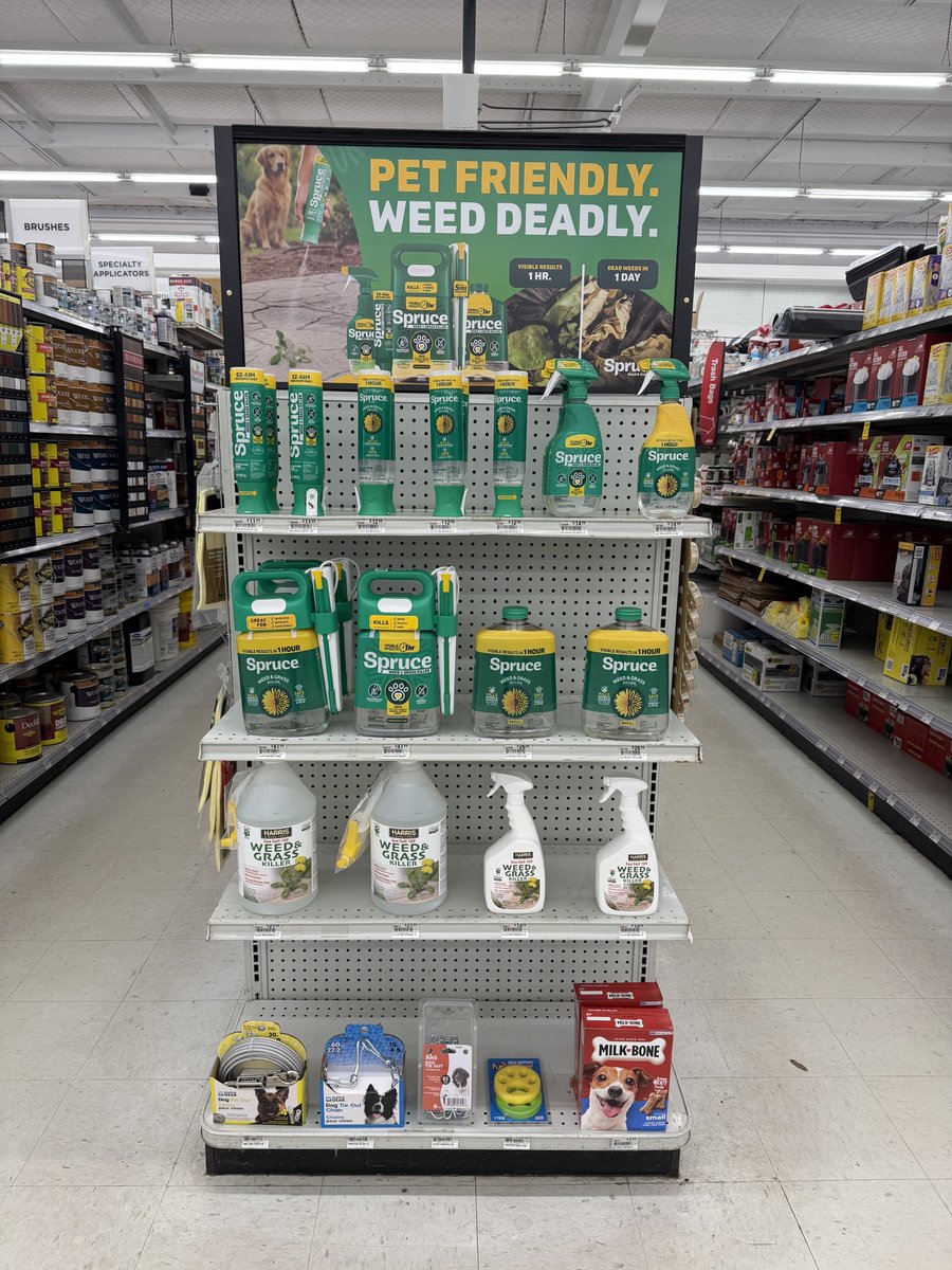 AceFountains's tweet image. Looking for safe gardening options? Visit Ace for pet-friendly, pest-free Spruce solutions! 🌿🐾 #GardenSmart #AceHardware