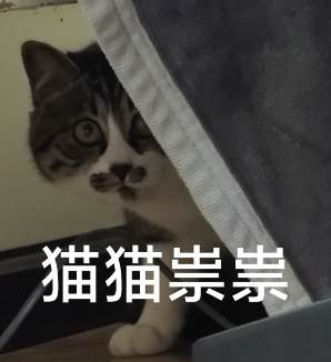 EsNine1's tweet photo. 每次出远门前一天都会睡不着。。 https://t.co/yemmAYcBUk