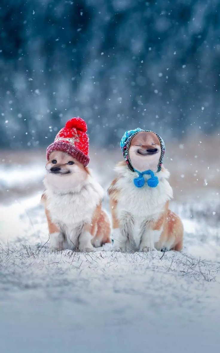 Bartosz TrueFellaski 🇪🇺 🇫🇷 🇵🇱 🤝 🇺🇦 tweet media