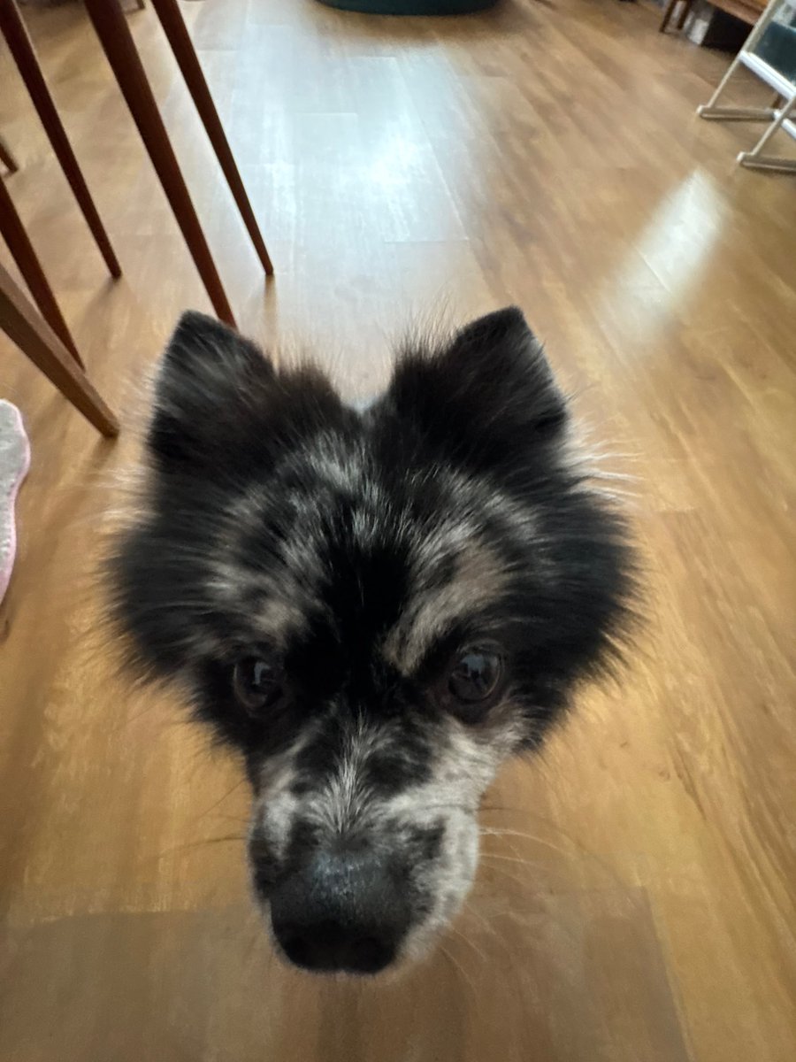 pasmurnyy benzol 🚬🐇 tweet media