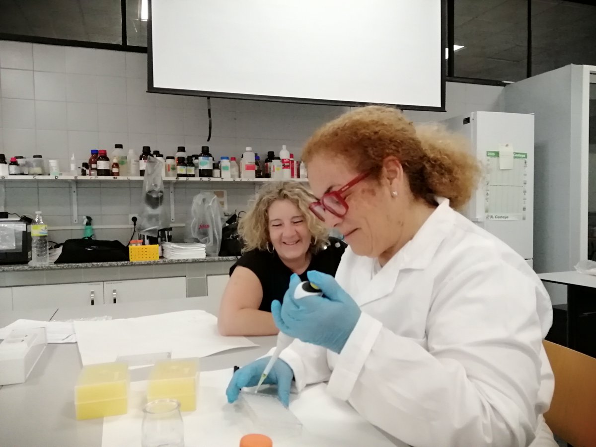 IES_POLI's tweet photo. Docentes de la Familia Profesional de Química participan en una estancia formativa sobre cultivos celulares en Ourense
https://t.co/W5H0MYFrnc https://t.co/ECh69vAACt